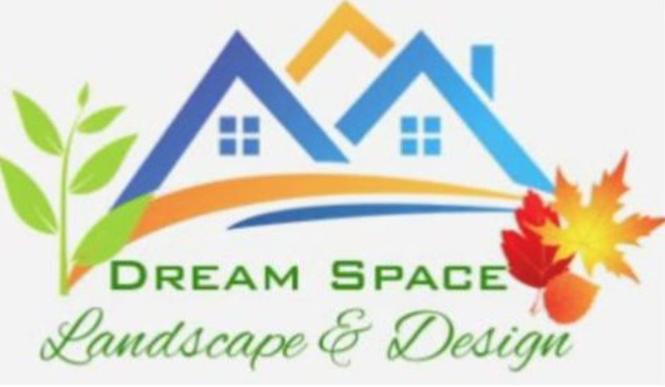 Dream Space Landscape & Space
